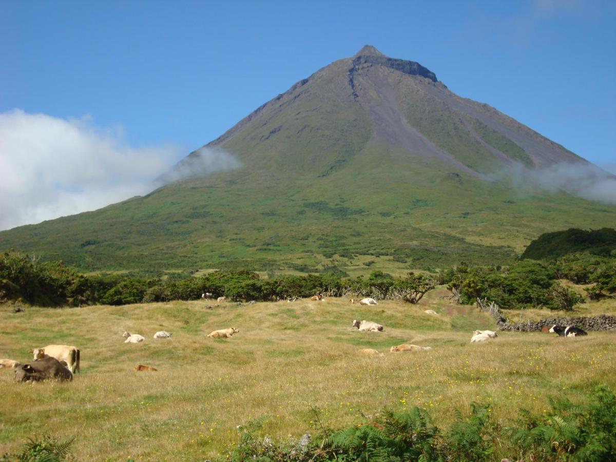 Casa da Abrótea Vila Lajes do Pico Exterior foto
